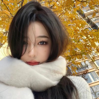 龙珠Z剧场版17：龙拳爆发